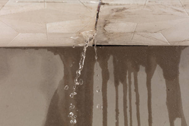 Professional Burst Pipe Cleanup technician working in Pope, MS
